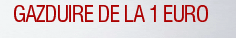Promotie gazduire